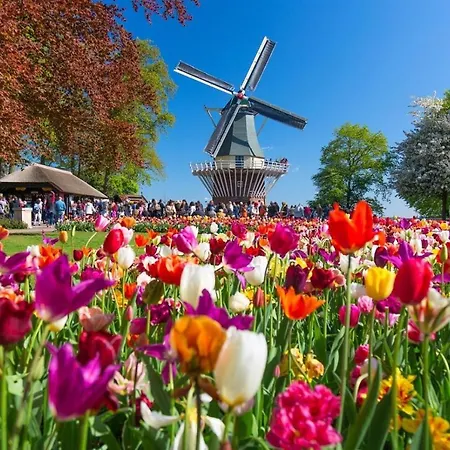 Tulip Amsterdam Airport
